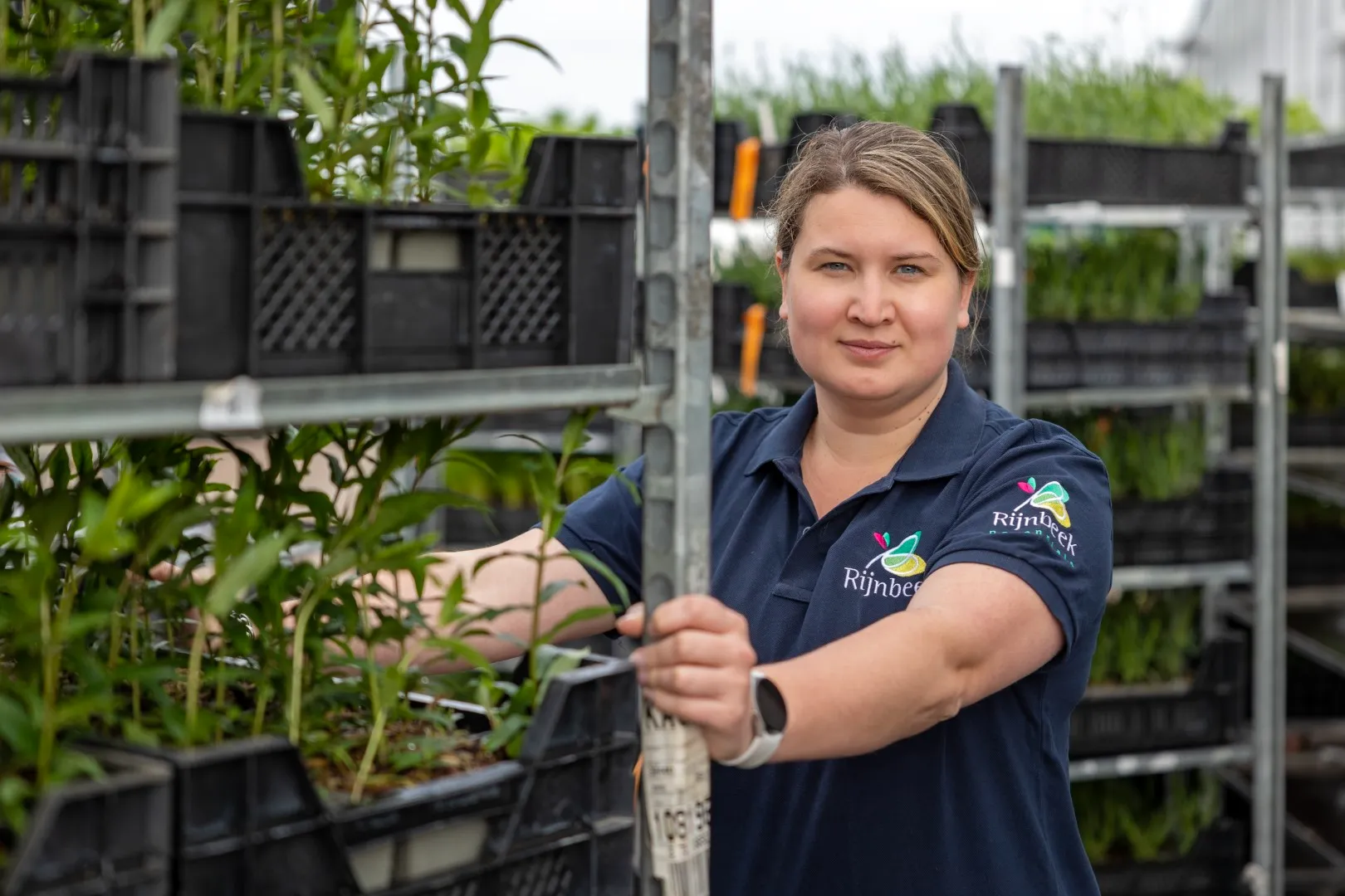 Continu in ontwikkeling