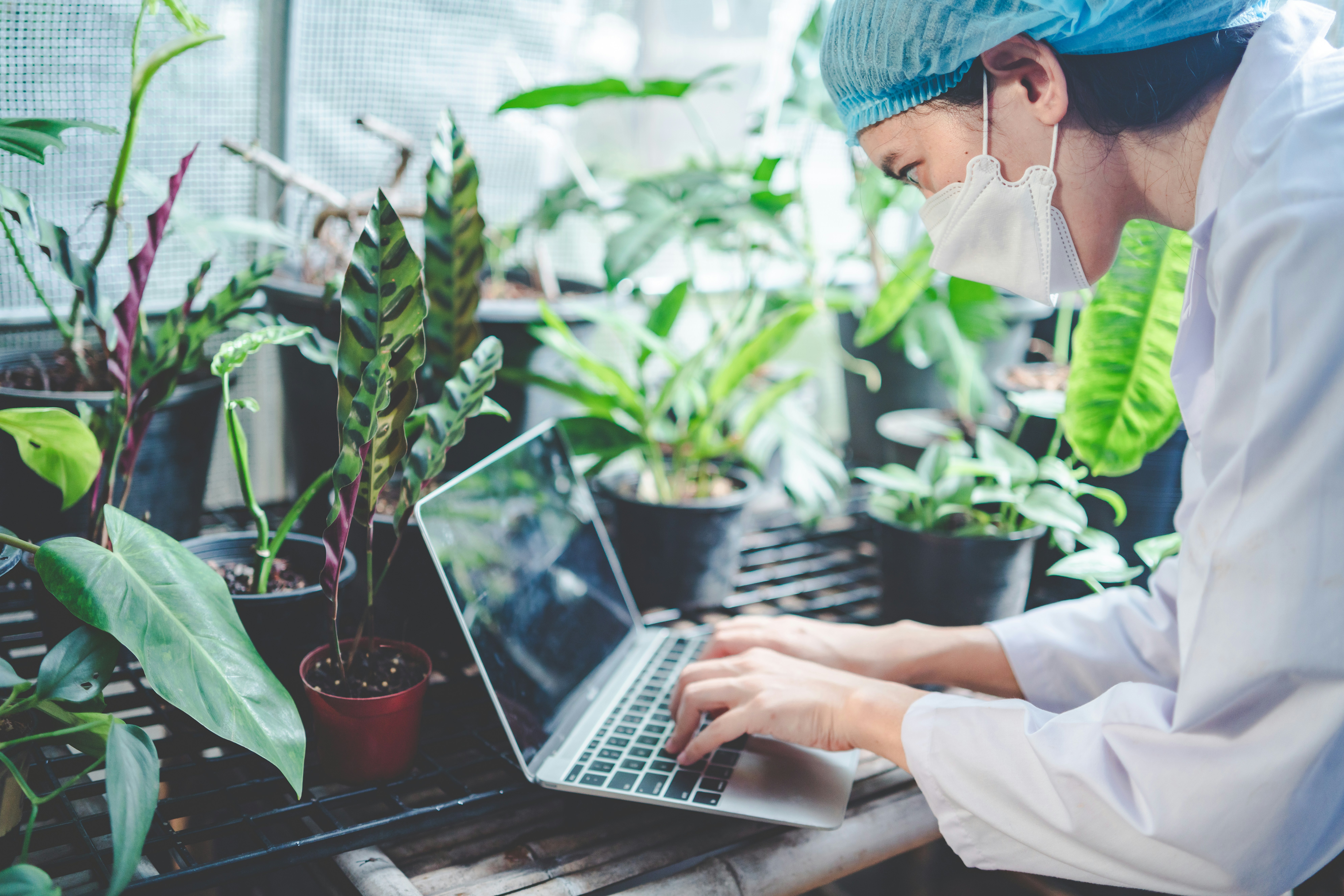 Volledige ketencontrole